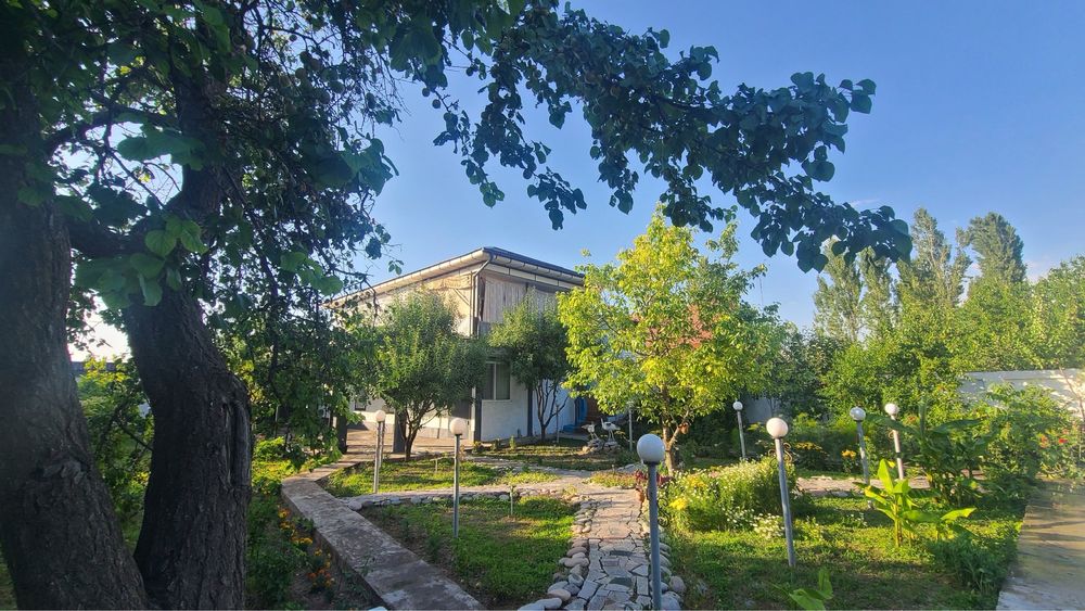 Dacha Chirchik Bassen Stol Tenis Oylalar va Ulfatlar uchunham
