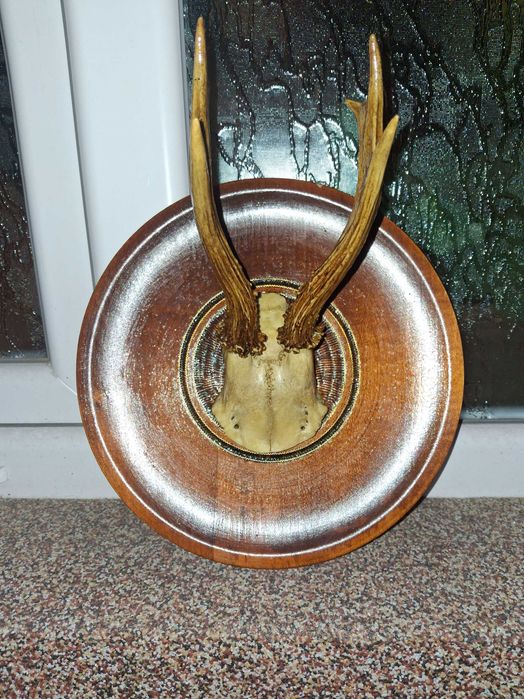 Рога за декорация