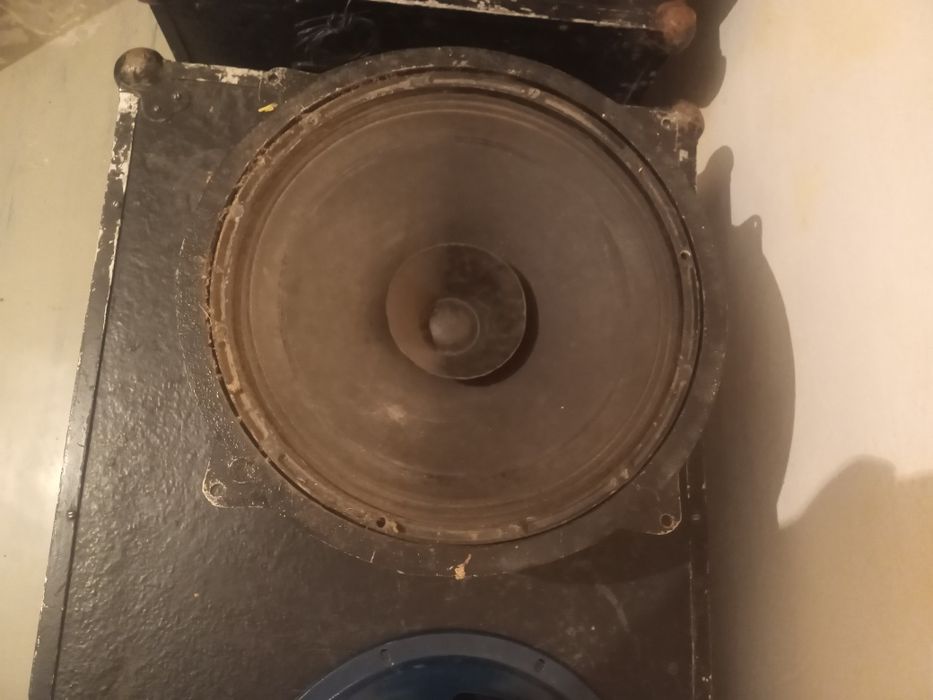 Динамики 100ват широко полосный 12 дюймовый