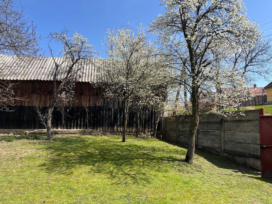 Teren Poplaca centru, utilități, împrejmuit, 989 mp