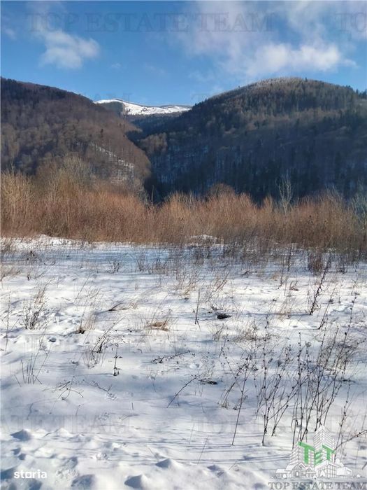 Teren Intravilan Sinaia 2255 mp