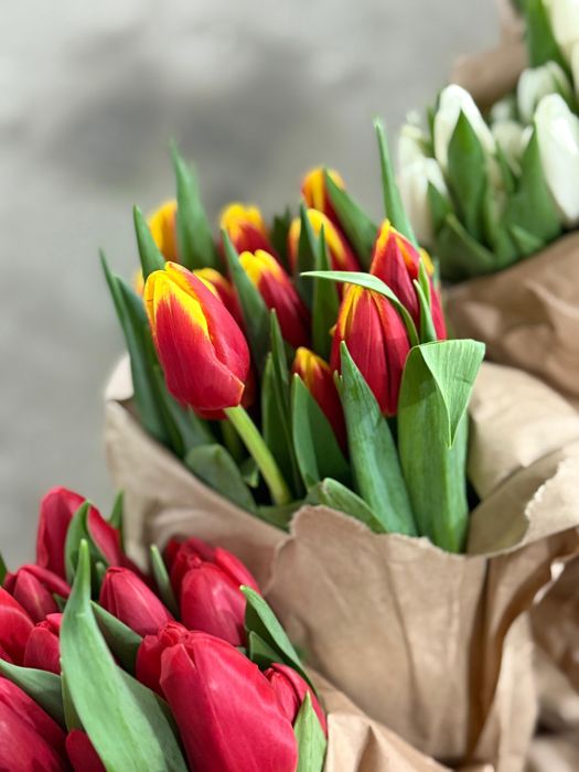 Тюльпаны на 8 марта