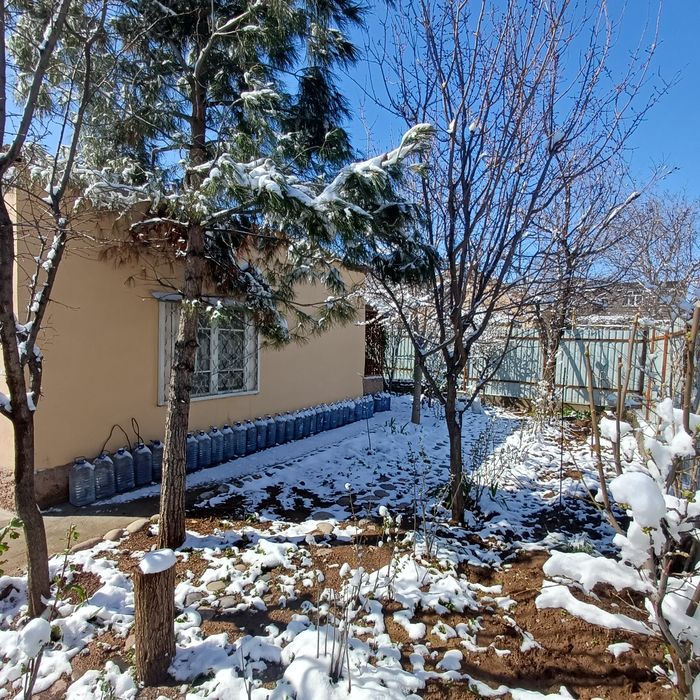 Дала ховли  Сотилади 21000 $