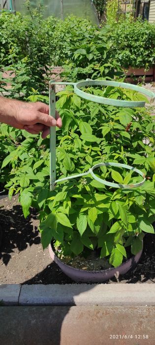 Подвески для цветов