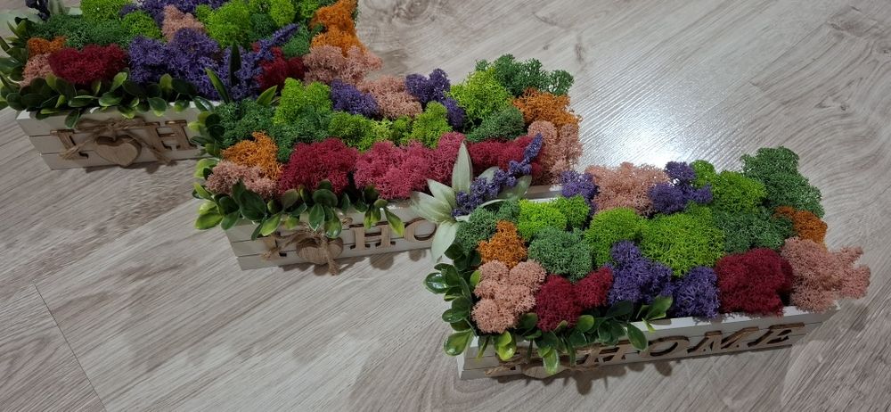 Кашпа със скандинавски мъх