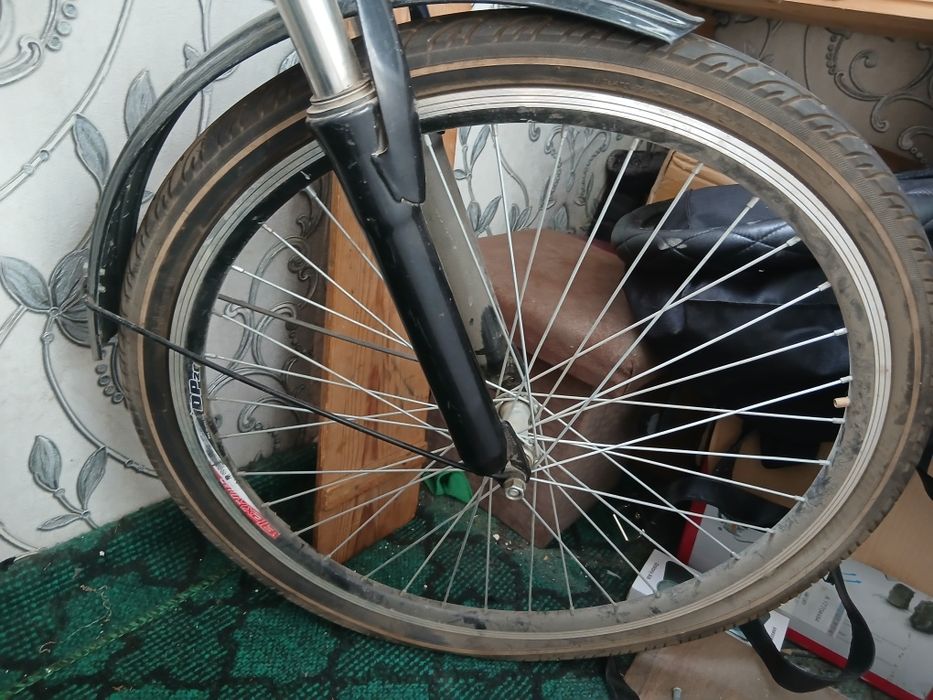 Vesoliped ozgina aybi bor