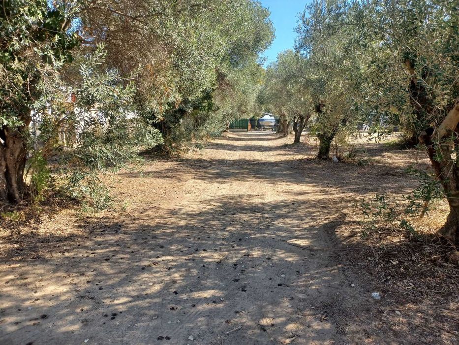 Продава се парцел 461 м2 на 2 улици в регулация в Неа Врасна, Гърция