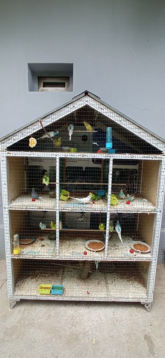 Qush uyasi sotiladi mustahkam baquvat