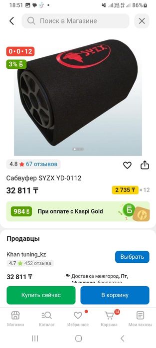 Сабвуфер SYZX 10