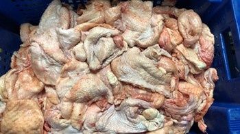Для кошек и для собак