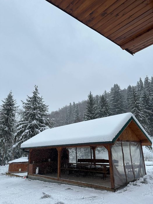 Cabana de închiriat- Iod, Rastolita, relaxare in natura