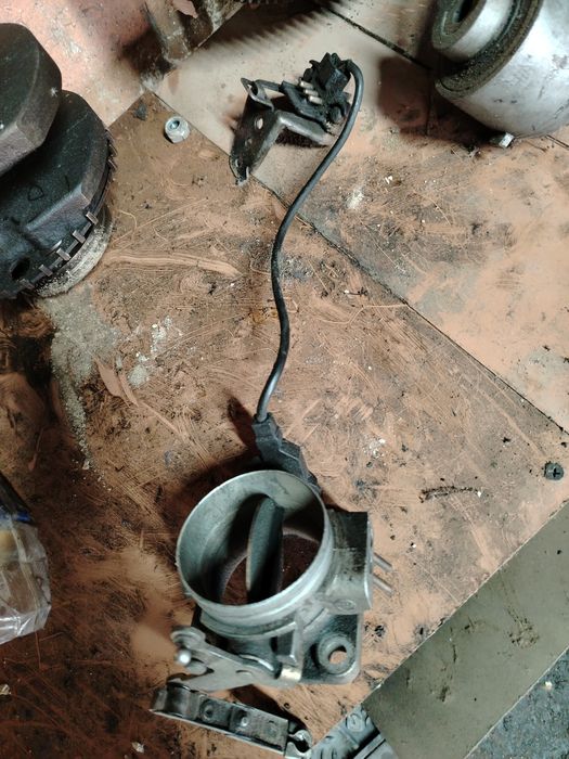 Дросс. Засл. М. 124