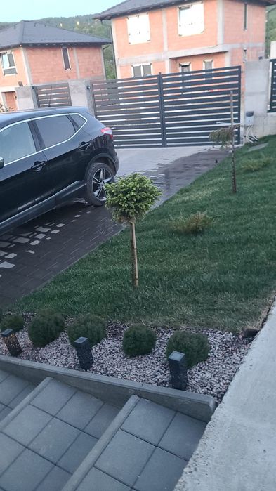 Irigații amenajare Sălaj