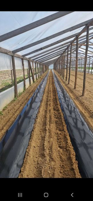 Masina bilonat cu folie mulcire