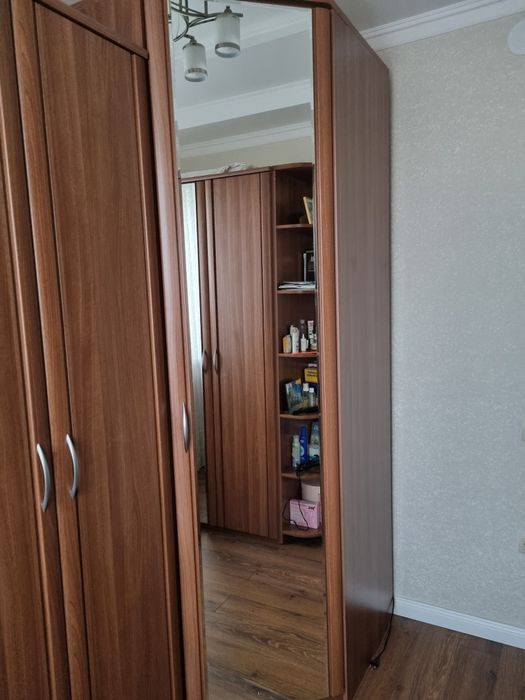 Шифонер угловой, Дятково