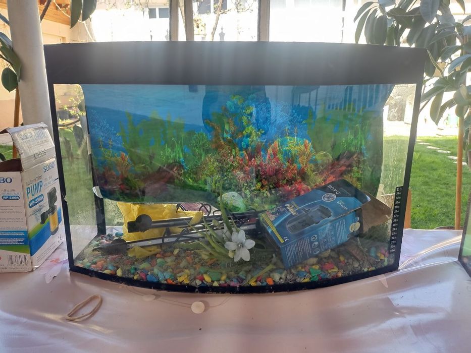 3ta akvaryum sotiladi ideal