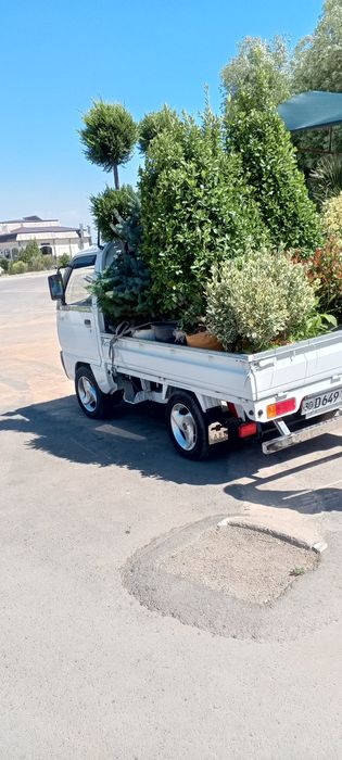 Лабо ХИЗМАТИ Самарканд 24/7