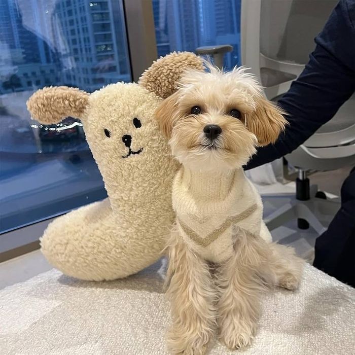 Мека възглавница за домашни любимци