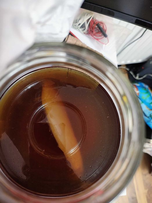 Kefir de lapte apa ciuperca tibetana japoneza Kombucha