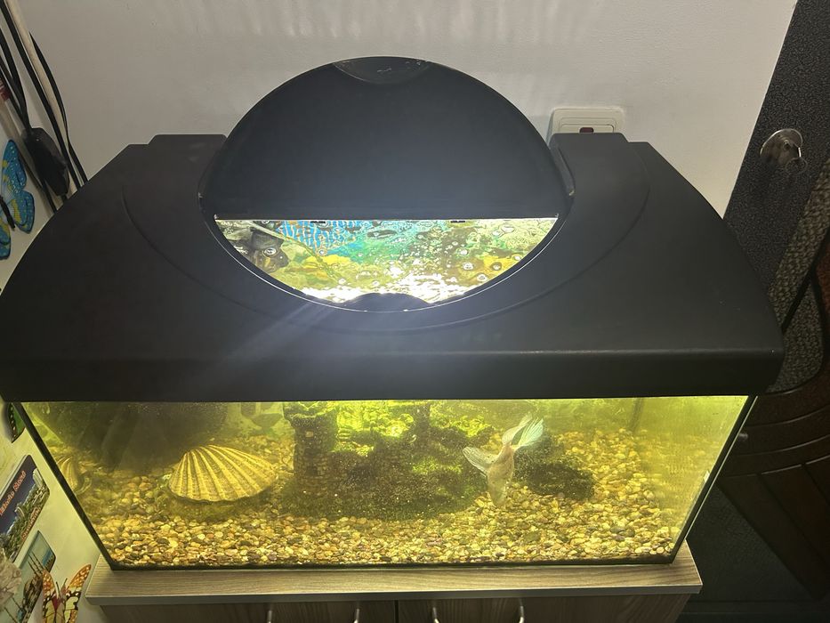 Acvariu utilat total 60L