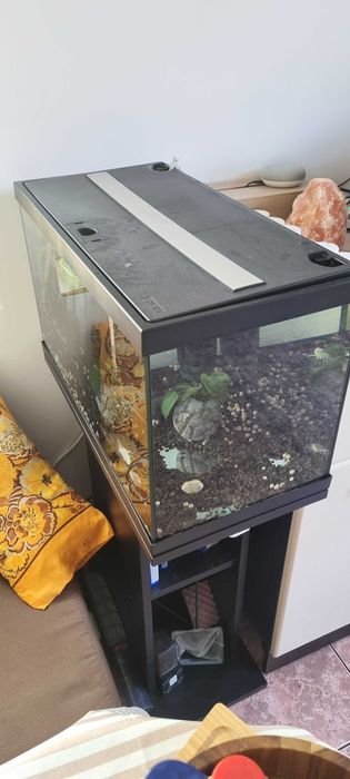 Аквариум EHEIM AquaStar 54 LED + поставка + оборудване