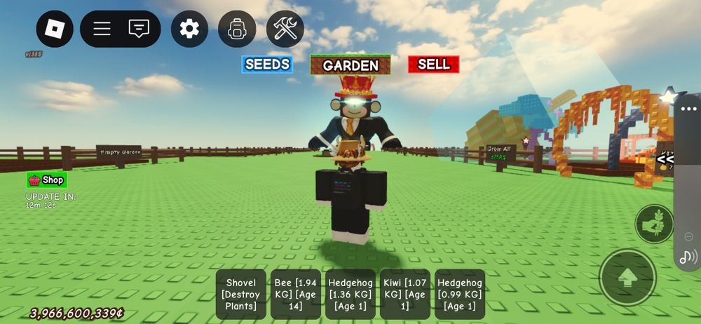 Имба акк с кенди блоссом