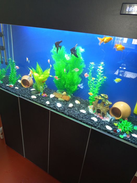 Ляриус две пары продам или обменяю