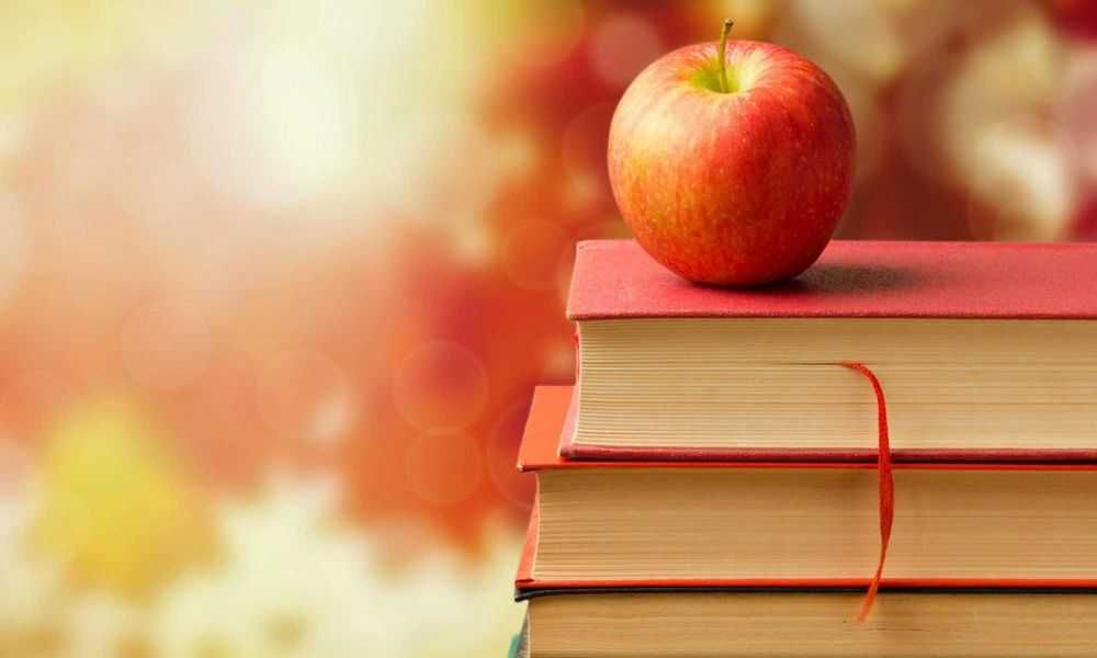 Meditatii limba si literatura romana individual - Evaluarea Nationala