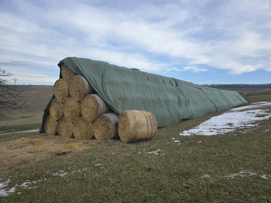 Vând baloți de paie, dimensiune balot 1,20/1,20