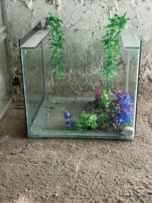 Аквариюм сатылады