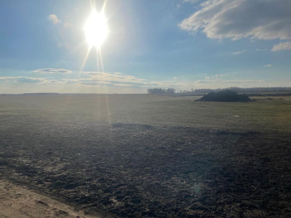 Продам земельный с.Осиновка