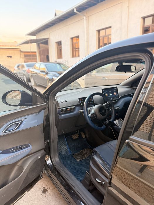 Srochnooo!! Byd Seagull sigul