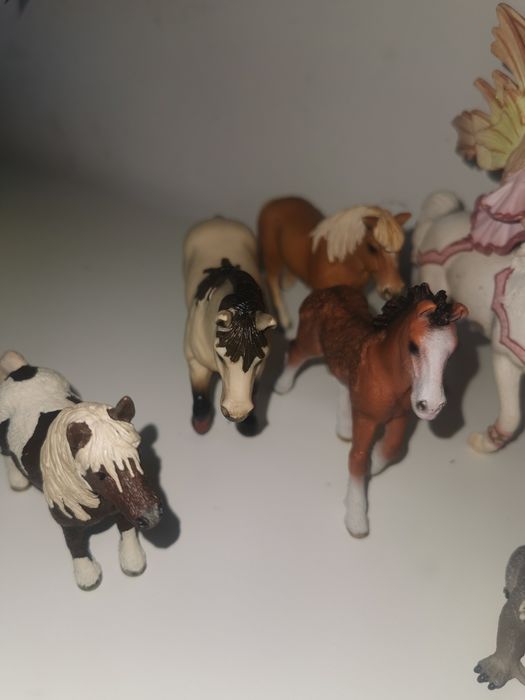 Cai schleich ca noi