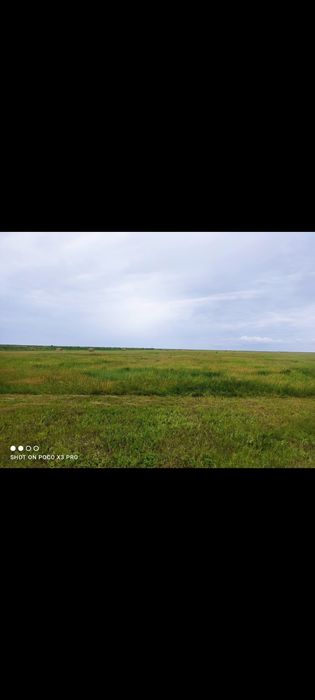 Продам сено с доставкой