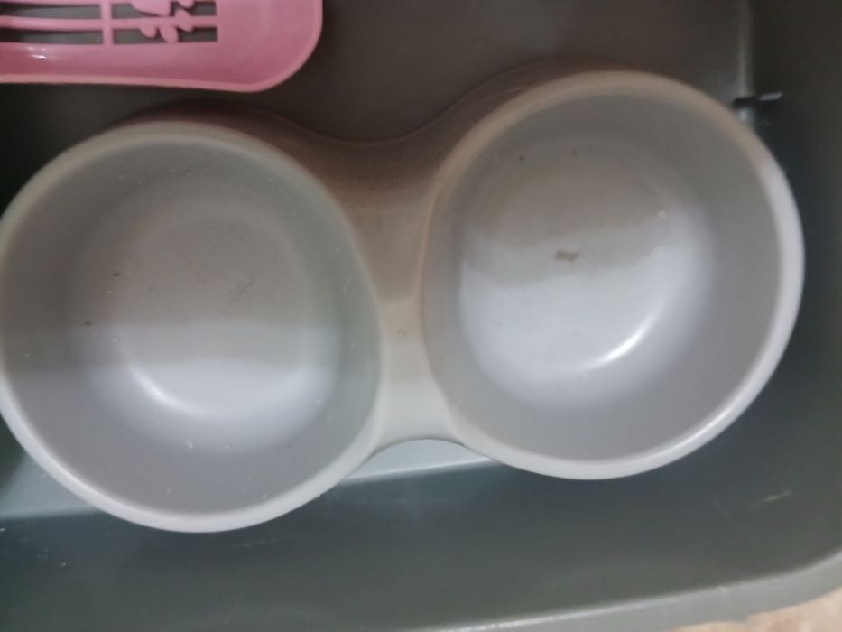 Набор для кошек миски совок лоток