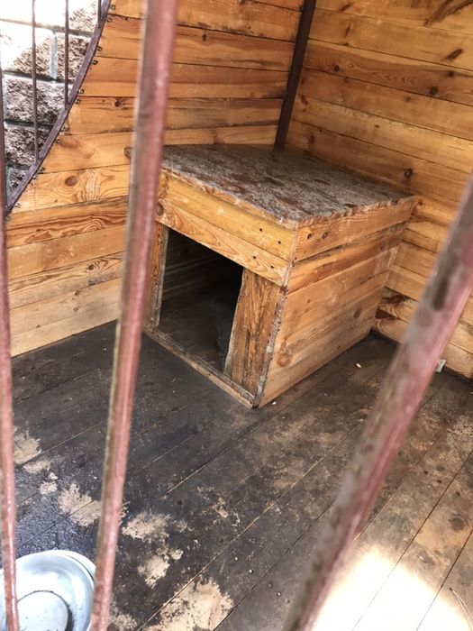 Вольер для собаки .