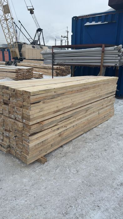 Лес Россия Курган