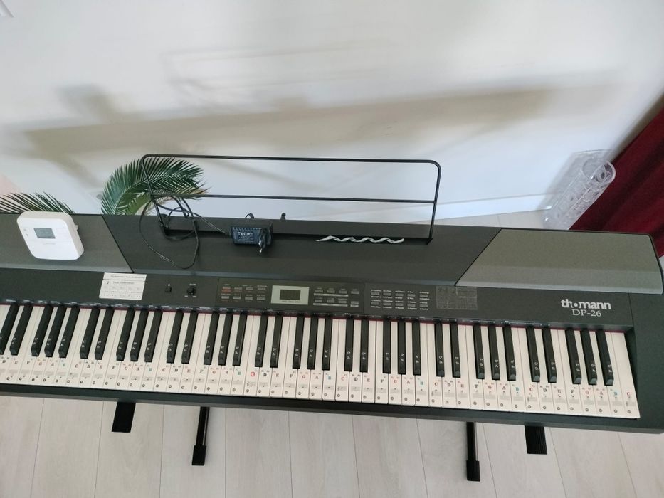 Orga digitala ThomannDP-26