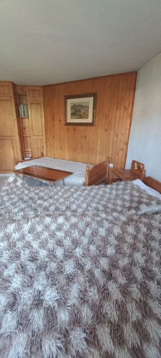 Продава се Къща в Добринище - 550 кв.м за 2 €/кв.м - Снимка #5