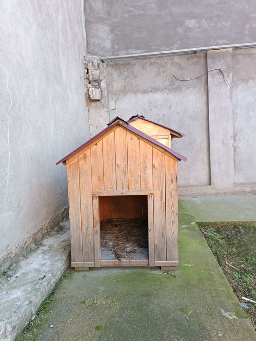 Будка для собак 2 штуки