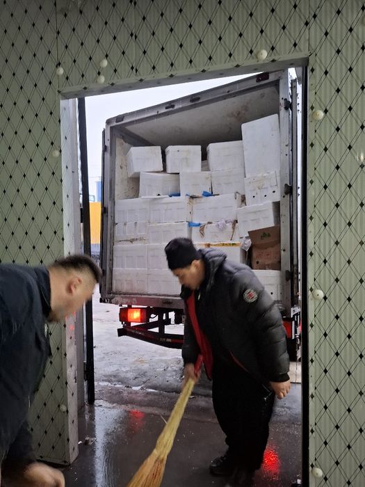 Вывоз строительных мусора/Вывоз мебели и ветки/вывоз мусора газел кита
