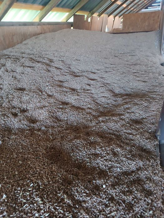 Vând cereale :0760505435 grâu,orz ,porumb, floare ,ovăz șrot floare, ulei floarea