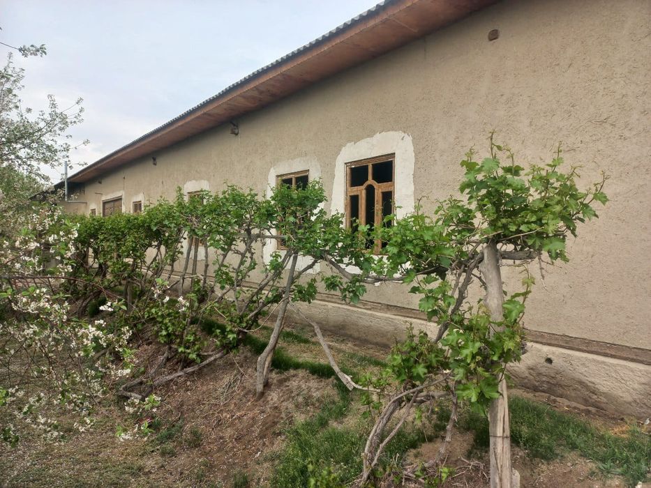 Buxoroda Jondor Alelicha qishlog'ida Hovli sotiladi