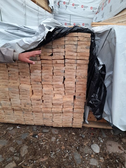 Tere to'sin mahsulotlari