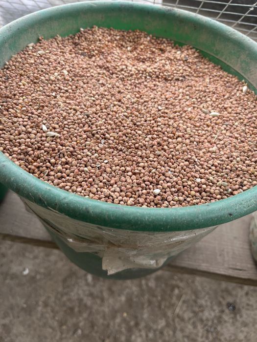 Жем арпа бидай отруби