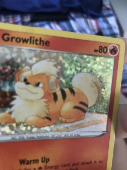 Pokemon Growlithe și Gossifleur (mc donalds)