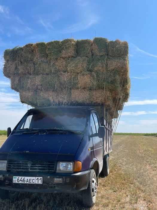 Жонышка прес бар