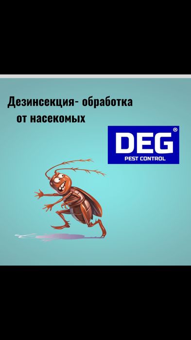 Дезинфекция Клопы Тараканы Потравить