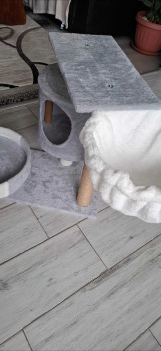 Котешка катерушка