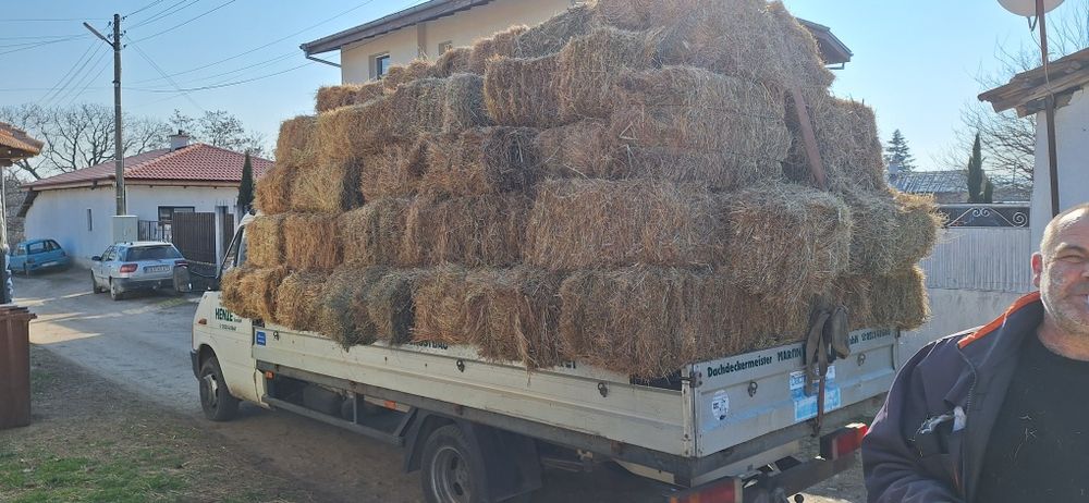 Пътна помощ и транспортни услуги